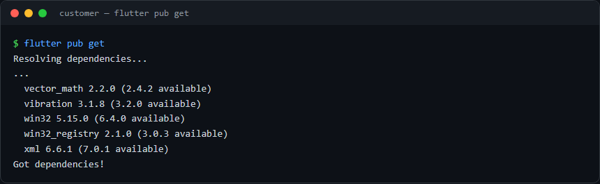 flutter pub get output